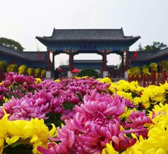 安庆公园菊展施工